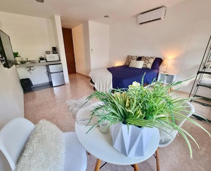 Departamento Centrico 5T Playa Ac Apartment Playa del Carmen