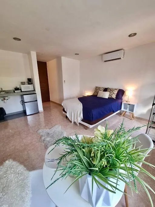 Departamento Centrico 5T Playa Ac Apartment Playa del Carmen