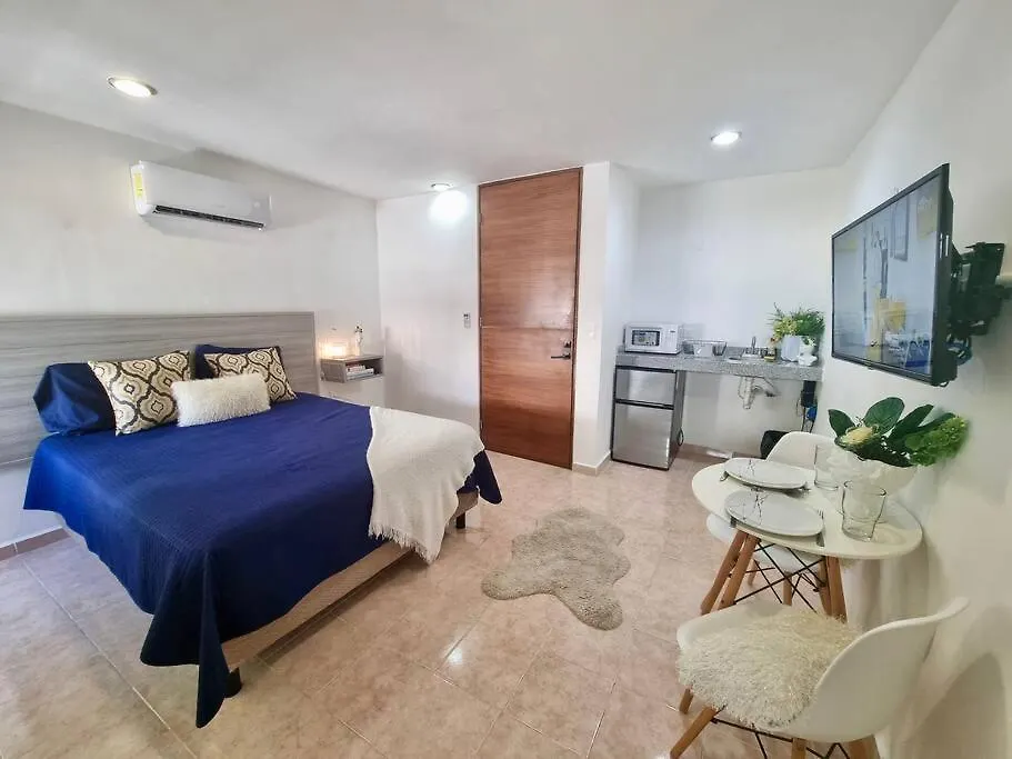 Departamento Centrico 5T Playa Ac Apartment Playa del Carmen